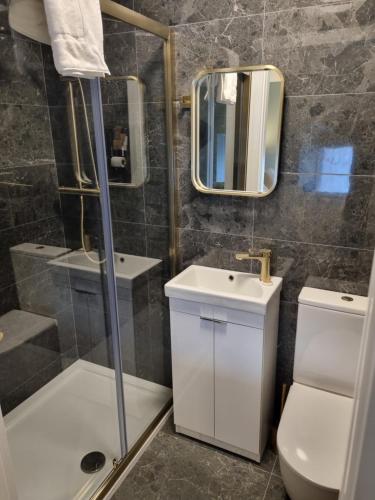 a bathroom with a sink and a toilet and a mirror at The Ledger Rooms in Gort
