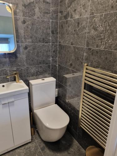 a bathroom with a toilet and a sink at The Ledger Rooms in Gort