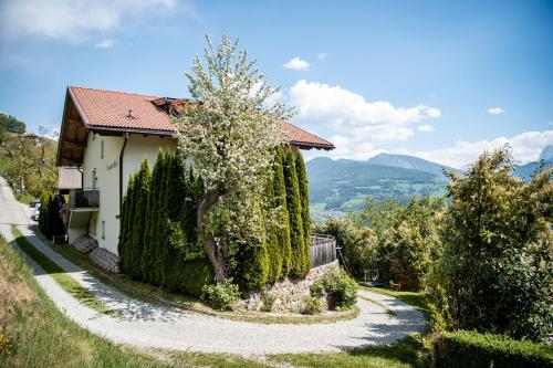 a house with a hedge next to a road at Rumpelehof in Villandro