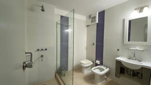 ein Badezimmer mit Toilette, Waschbecken und Dusche in der Unterkunft Hotel Continental in Posadas