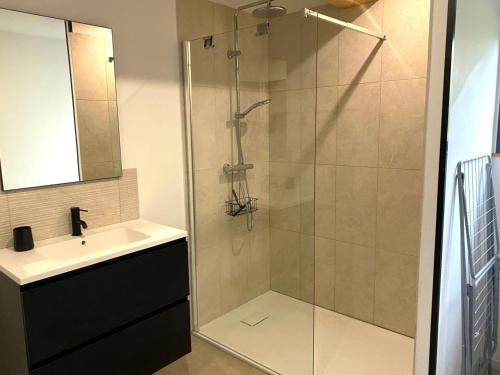 a bathroom with a shower and a sink at Chez mathilde et sÉbastien in Rubigny