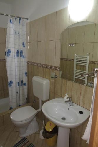 a bathroom with a sink and a toilet and a mirror at Pensiunea Agroturistica Cristal in Suceviţa