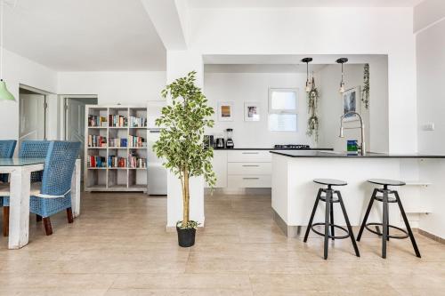 a white kitchen with a potted plant in the middle at Condo Cabrinha - Kite Beach Cabarete in Cabarete