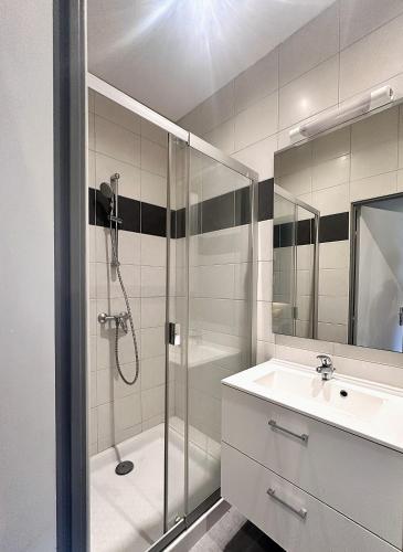 a bathroom with a shower and a sink at L horizon bleu in Mulhouse
