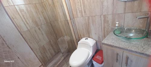 a bathroom with a shower and a toilet and a sink at Cinco Elementos Glamping in Chiquinquirá