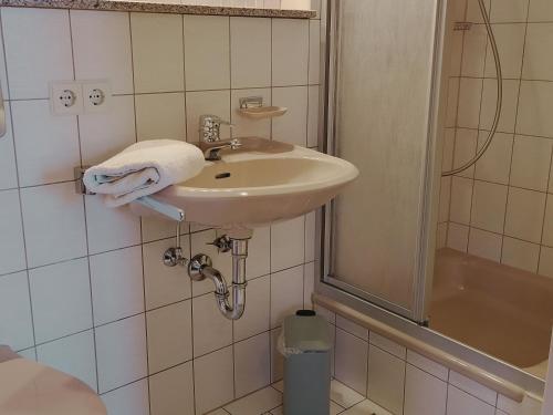 a bathroom with a sink and a shower at Haiderhof in Schleching