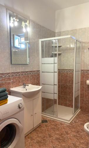 a bathroom with a shower and a sink and a washing machine at Salis in Novigrad Istria