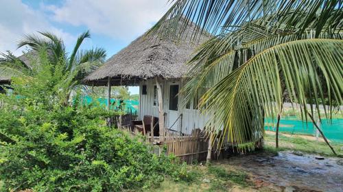 a small hut with a thatched roof next to the ocean at Cabana Coral Reef in Mandapam
