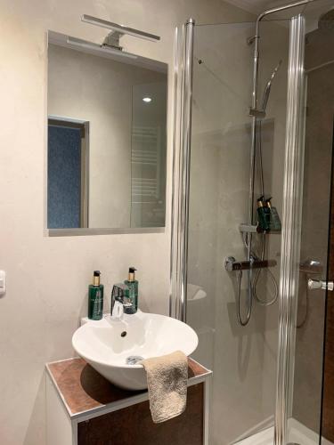 a bathroom with a white sink and a shower at De La Frontière Bed & Borrelbistro in Slenaken