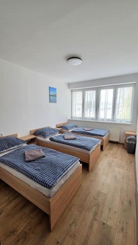 four beds in a room with wooden floors and windows at Apartmán Bytča in Bytca
