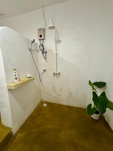 a corner of a room with a shower and a plant at Beach House in Jambiani