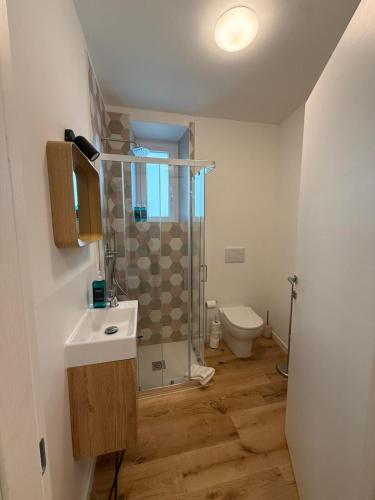 a bathroom with a shower and a sink and a toilet at 11 Apartaclean Cancellieri in Trieste