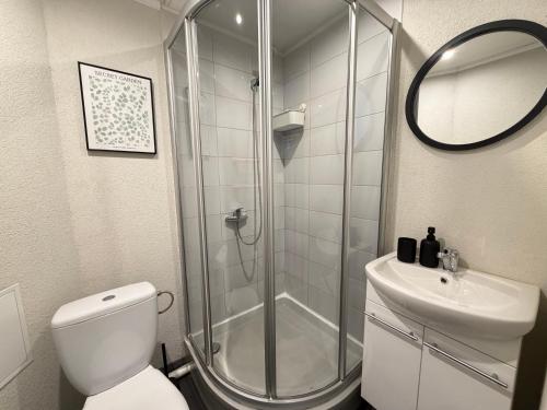 a bathroom with a shower and a toilet and a sink at Imantas apartment in Daugavpils