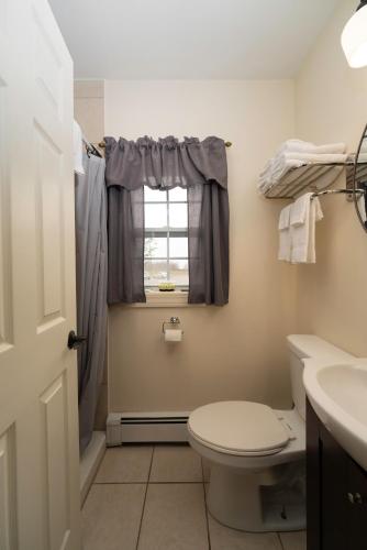 a bathroom with a toilet and a window at The Whitetail Inn and Suites- Lincoln in Lincoln