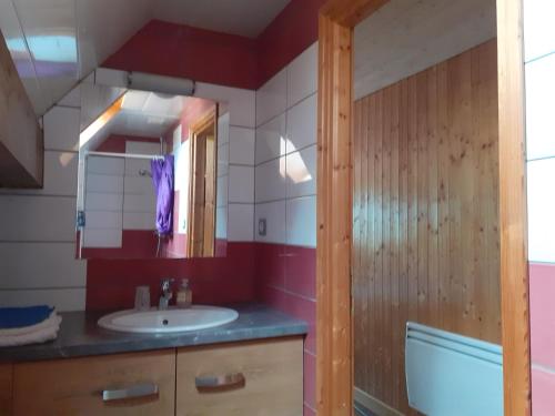 a bathroom with a sink and a mirror at Chambres IM-BERG in Metzeral
