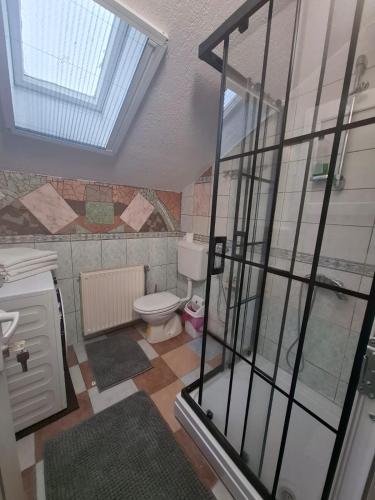a bathroom with a toilet and a skylight at Amina River Apartment in Bihać