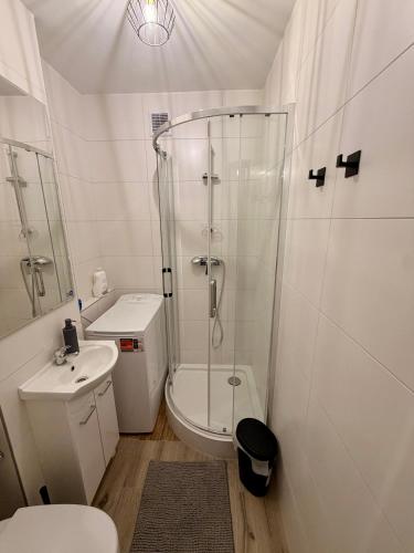 a bathroom with a shower and a toilet and a sink at Muranów Rooms Warsaw in Warsaw