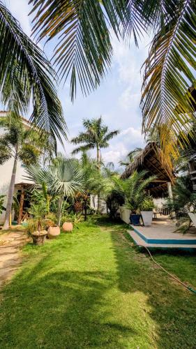 a yard with palm trees and a swimming pool at Nuevo NAYAL in Las Peñitas