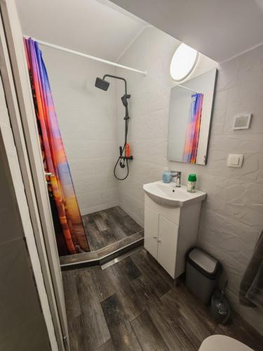 a bathroom with a shower and a sink at Pensiunea Solo in Dretea