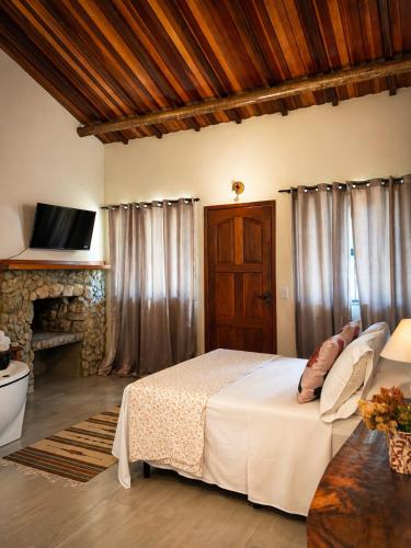 a bedroom with a large bed and a fireplace at Refúgios de Mauá - Chalé Jardins de Maria in Visconde De Maua
