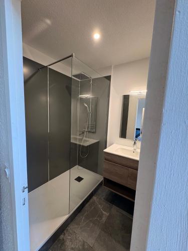 a bathroom with a shower and a sink at Studio de Dallet - Coeur de Ville in Clermont-Ferrand