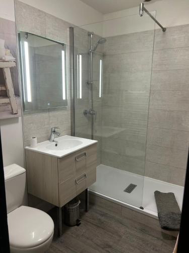 a bathroom with a shower and a sink and a toilet at Duplex in Honfleur