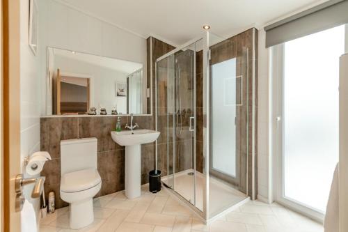 a bathroom with a toilet and a sink and a shower at 2 Bed in Canaston Bridge oc-d34702 in Robeston Wathen