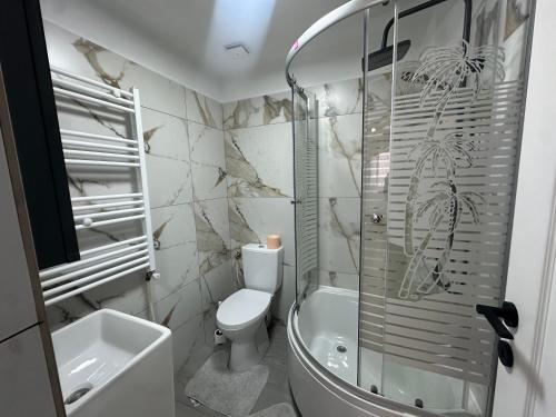 a bathroom with a shower and a toilet and a sink at Nord Accomodation in Bucharest
