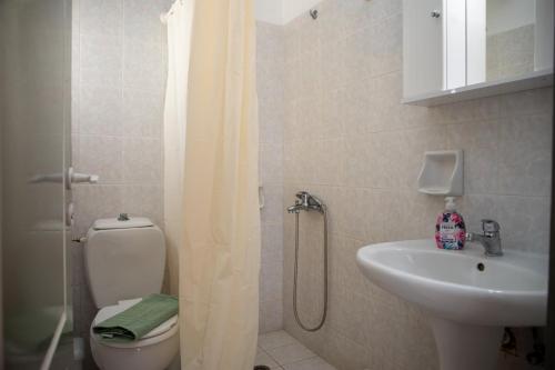 a bathroom with a shower and a toilet and a sink at Fay's Studios Leros in Lakkíon