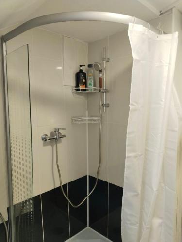 a bathroom with a shower with a shower curtain at MEGA WEEKEND Apartment in Salzkammergut Nähe Attersee Traunsee Gmunden Bergen in Attnang-Puchheim