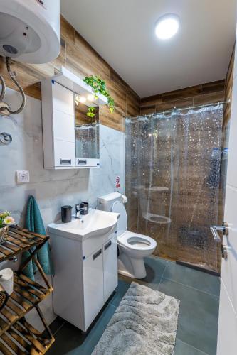 a bathroom with a toilet and a sink and a shower at Apartman Goga 2 in Veliko Gradište