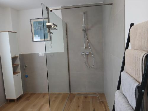 a shower with a glass door in a bathroom at Ferienwohnung Buchenblatt in Simmerath