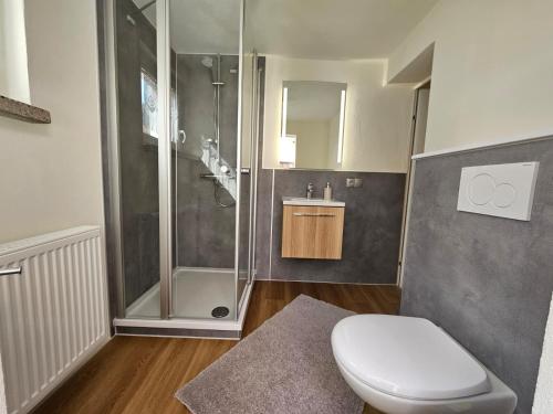 a bathroom with a shower and a toilet and a sink at Ferienwohnungen Christine Knoll in Bad Frankenhausen