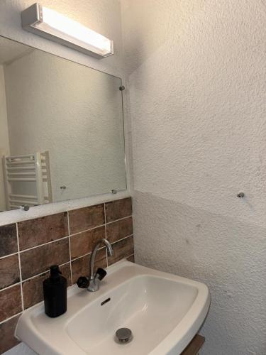 a bathroom with a sink and a mirror at Les logis de Paray - app 211 in Paray-le-Monial