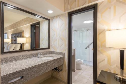 a bathroom with a sink and a mirror and a toilet at Drury Inn & Suites St. Louis Airport in Edmundson