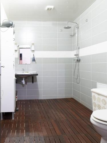 a bathroom with a shower and a toilet and a sink at chez MAG et YANN in La Séauve-sur-Semène