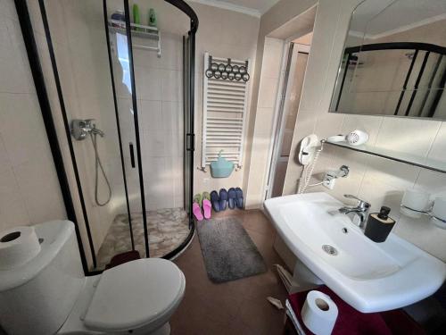 a bathroom with a toilet and a sink and a shower at Pensiunea Beciul Vechi in Mileştii Mici