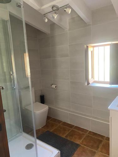 a bathroom with a shower and a toilet at Casa Tomas in Albox