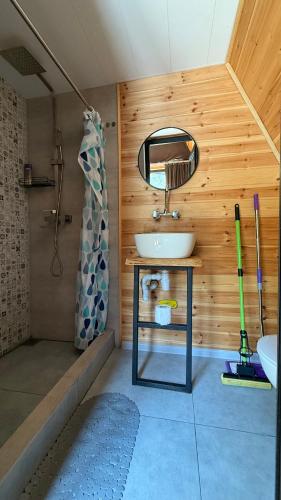 a bathroom with a sink and a mirror and a shower at Rachuli blendi in Ambrolauri