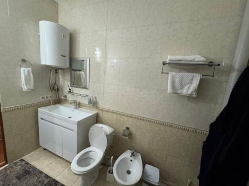 a small bathroom with a toilet and a sink at Edelweiss in Almaty