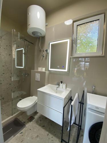 a bathroom with a sink and a toilet and a shower at Apartments Sijerkovic in Herceg-Novi