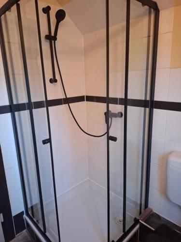 a shower with a glass door in a bathroom at Ferienhaus Witta in Radebeul