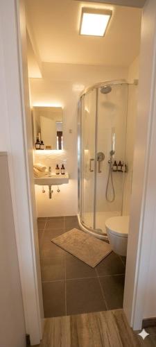 a bathroom with a shower and a toilet at Luxury Histria Apartment with Private Pool Near the Beach in Banjole