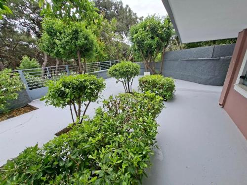 Hidden Garden Studio