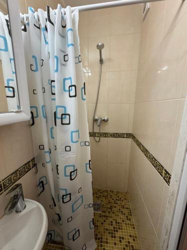 a bathroom with a shower curtain and a toilet at Promenad San in Dobrovelychkivka