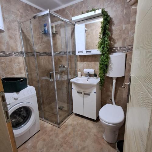 a bathroom with a shower toilet and a washing machine at Apartman Veka KV in Kraljevo