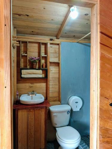 a bathroom with a toilet and a sink at Cabañas Alma Serrana in San Jose del Pacifico