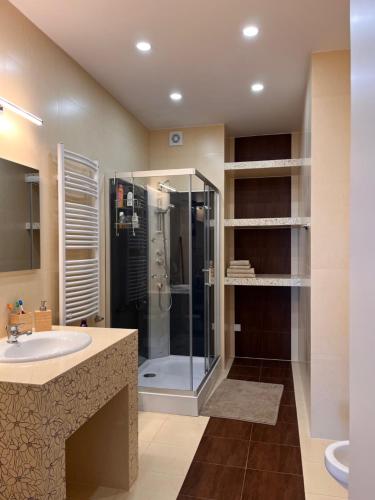 a bathroom with a shower and a sink at Piastowy Dwór in Jastrzębia Góra