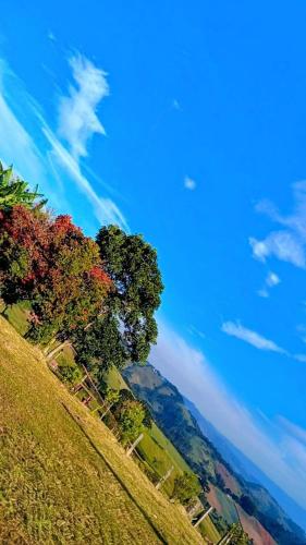 a group of trees on a hill with a blue sky at Sitio Vale Verde da Serra in Monte Verde