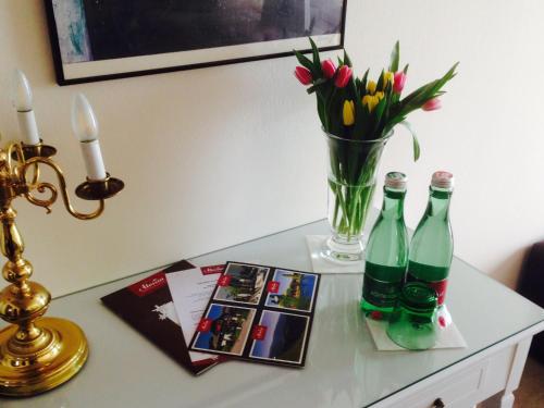 Fotografie z fotogalerie ubytování Hotel Aloisia, Hotel Garni v Mariapfarru